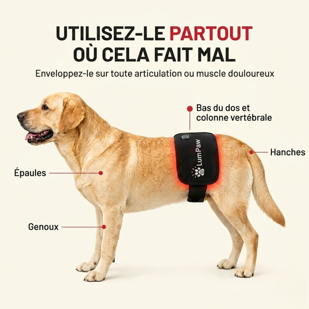 Lum Paw Coussin de Luminothérapie Rouge