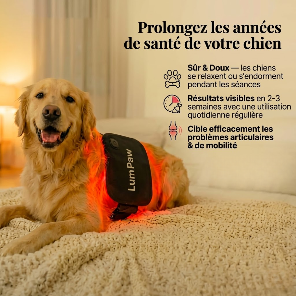 Lum Paw Coussin de Luminothérapie Rouge